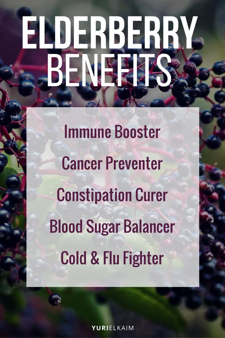 elderberry-benefits