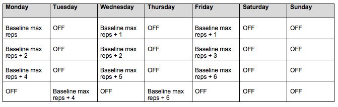 Push up 2025 increase program