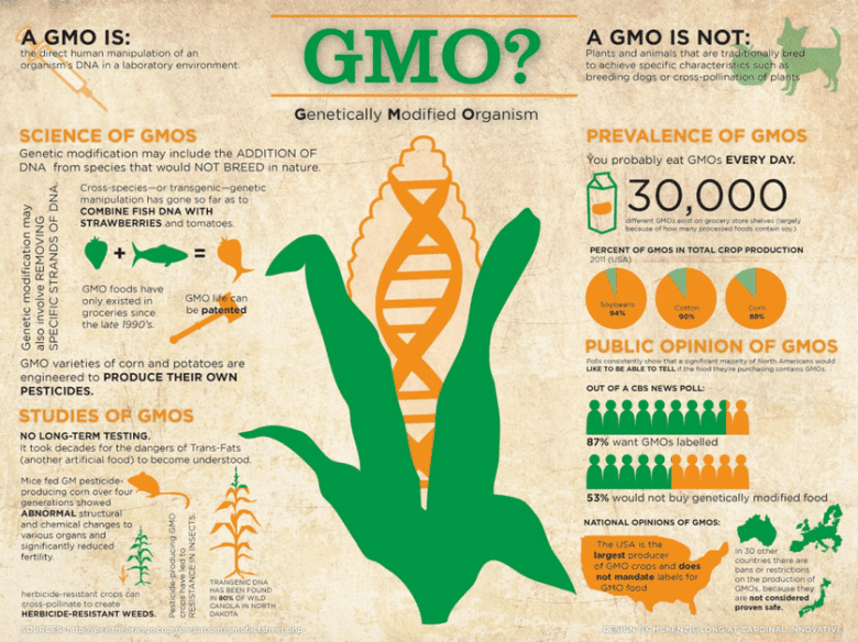 GMO Foods