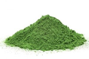 Chlorella powder