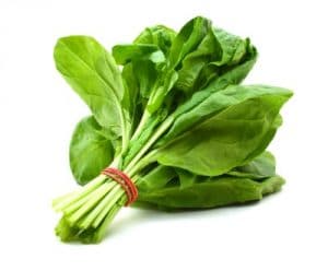 Bunch of spinach