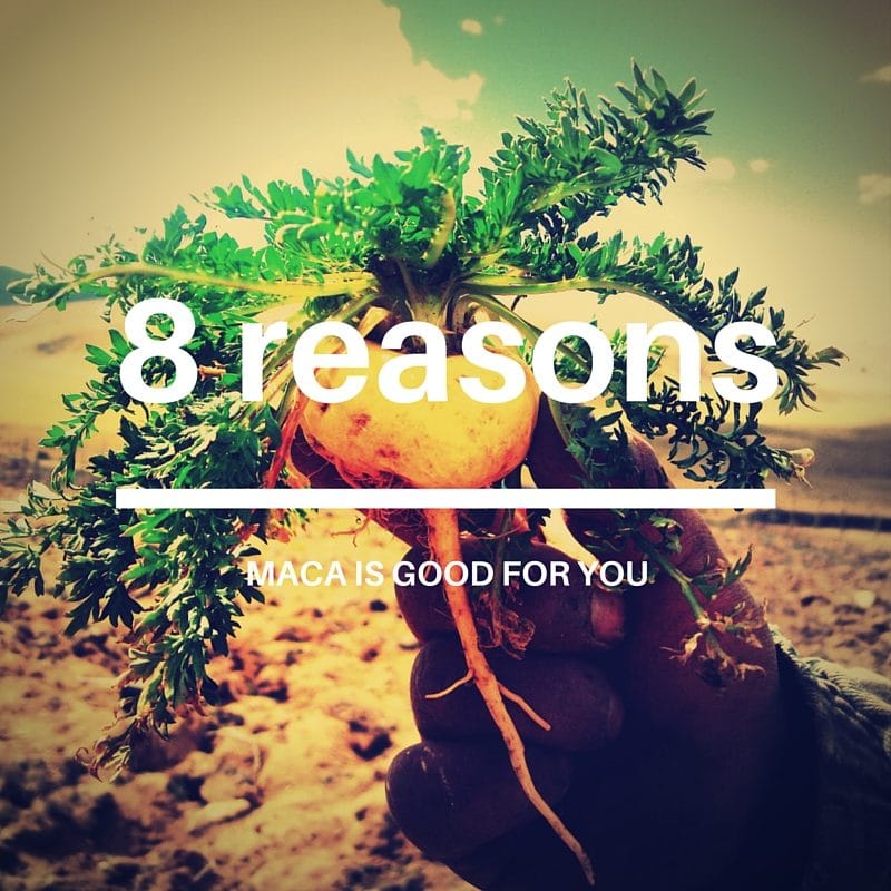 Maca Benefits - 8 reasons maca is good for you