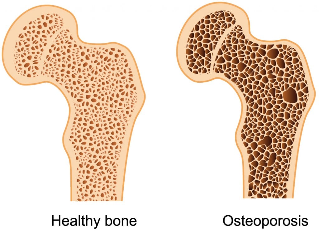 Maca Benefits