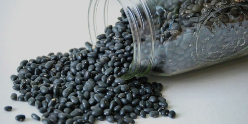 The 12 Best Vegan Protein Sources - Black Beans