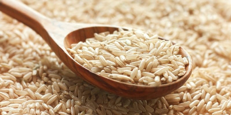 The 12 Best Vegan Protein Sources - Brown Rice