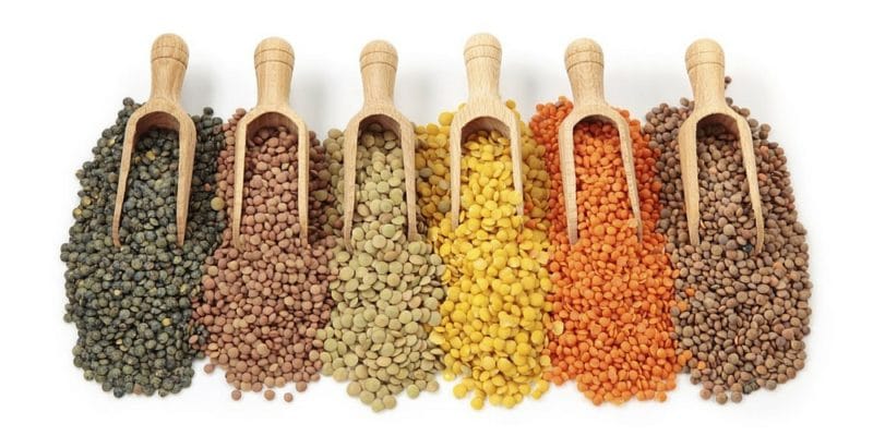 The 12 Best Vegan Protein Sources - Lentils