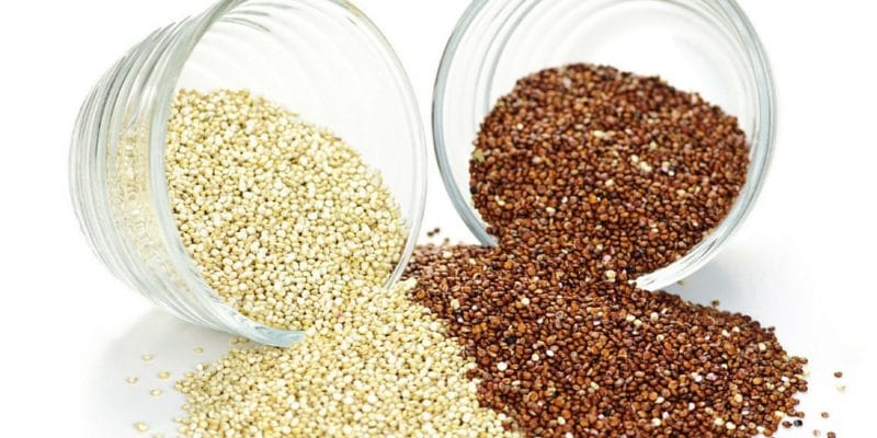 The 12 Best Vegan Protein Sources - Quinoa