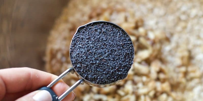 The 12 Best Vegan Protein Sources - Sesame, Sunflower and Poppy Seeds