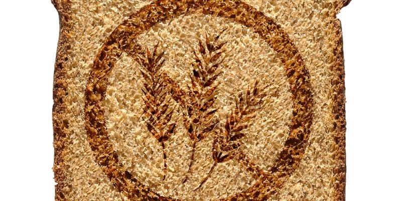Wheat Free Diet - Step 1