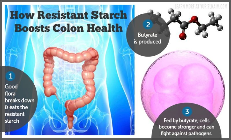 Come l'amido resistente aumenta la salute del colon