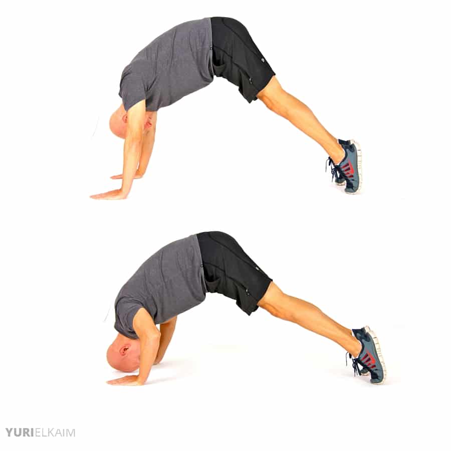 5 No Brainer Reasons To Start Bodyweight Training Yuri Elkaim 5 No Brainer Reasons To Start Bodyweight Training Yuri Elkaim
