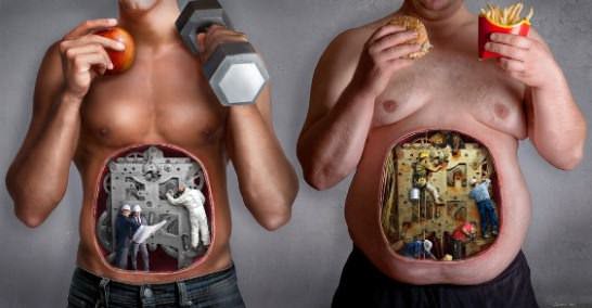 The Big 6 - Metabolism Facts You Need to Know