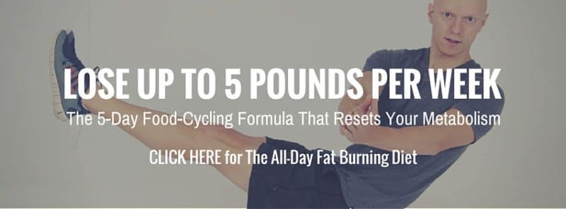 All-Day Fat Burning Diet