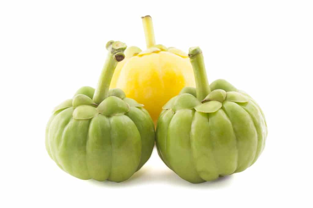 garcinia cambogia review