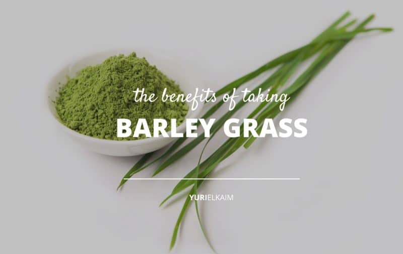 11 Life Changing Reasons To Add Barley Grass To Your Diet Yuri Elkaim