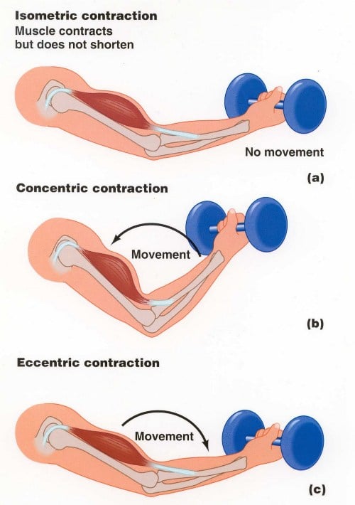 15 Best Bodyweight Exercises - Eccentric Training