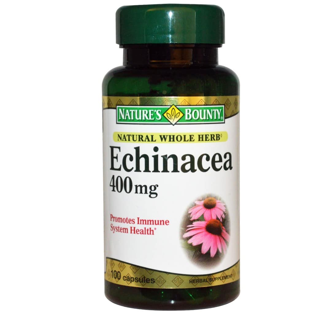 Natural Cold Remedy - Echinacea