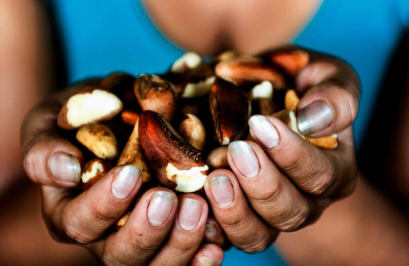 15 Fat Burning Foods - Brazil Nuts