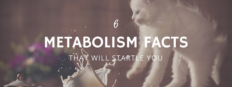 6 Metabolism Facts That Will Startle You