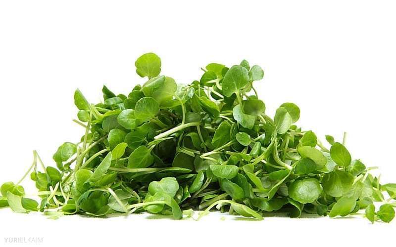7 Anti-Aging Foods Everyone Over 40 Should Eat - Watercress