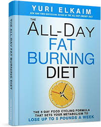 The All-Day Fat Burning Diet book image