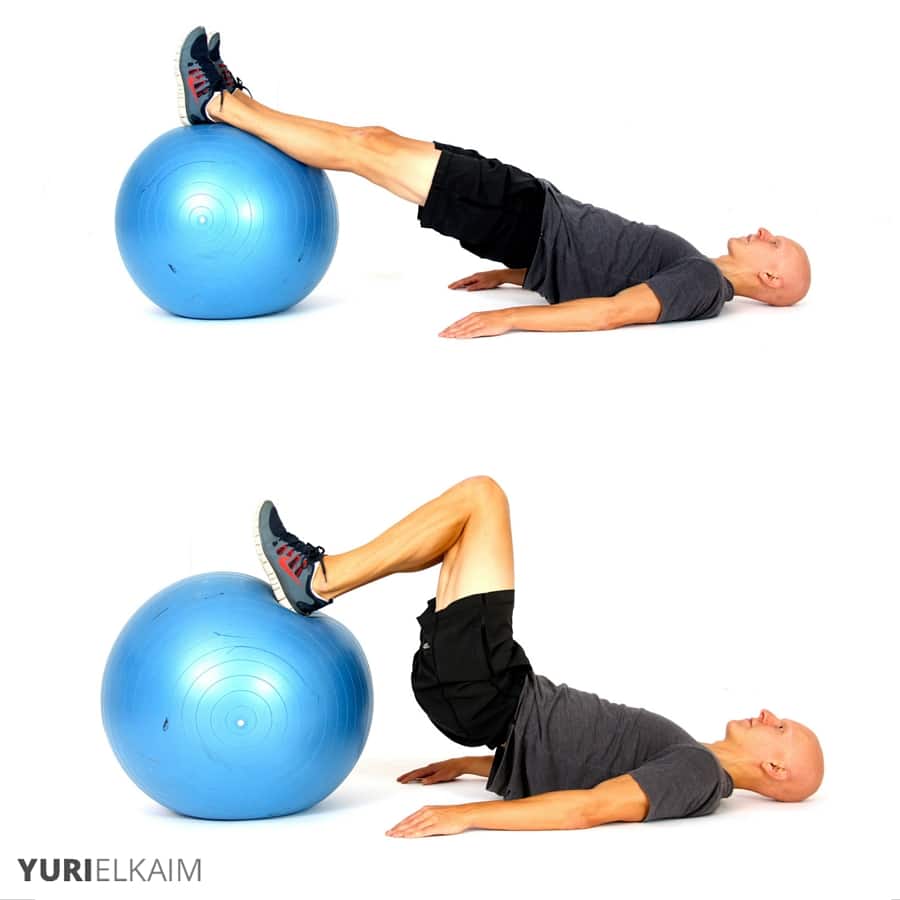 Stability Ball Hip Lift and Leg Curl