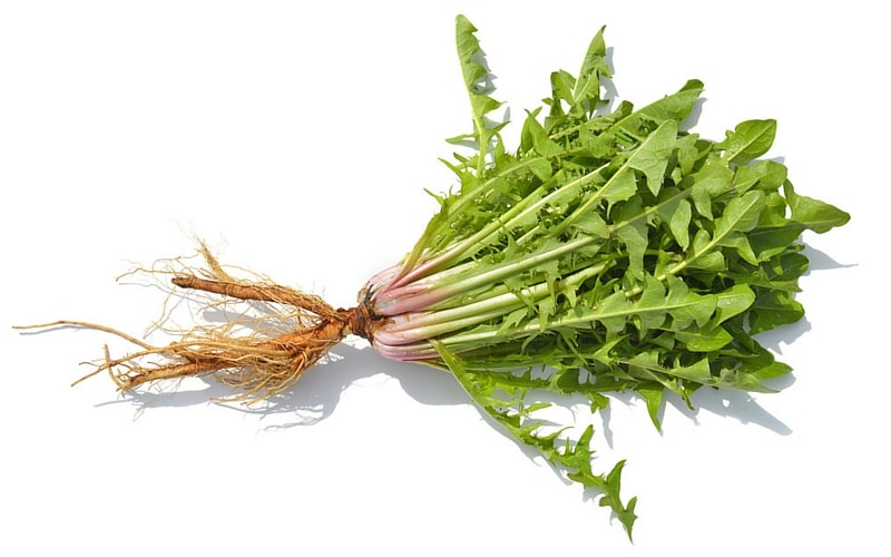 7 Liver-Healthy Foods - Dandelion Root