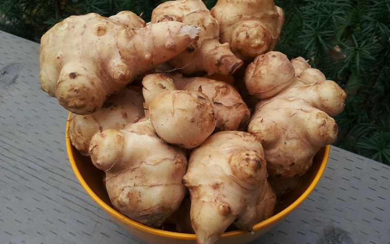 7 Liver-Healthy Foods - Jerusalem Artichoke