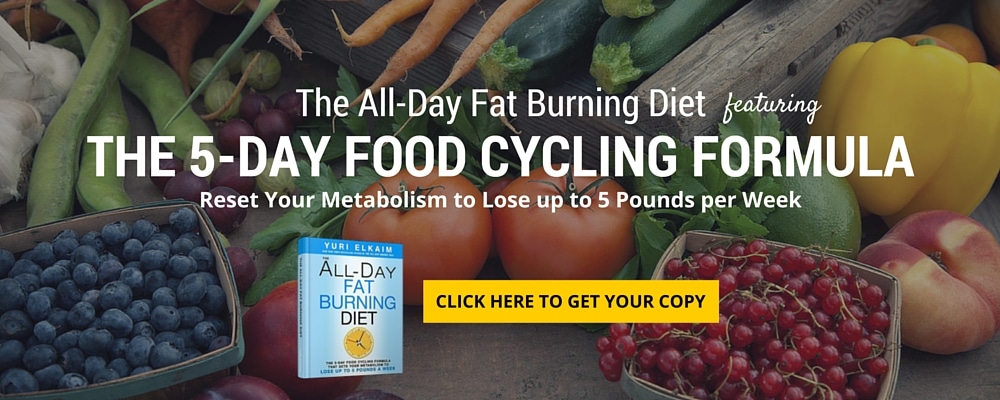 The All-Day Fat Burning Diet