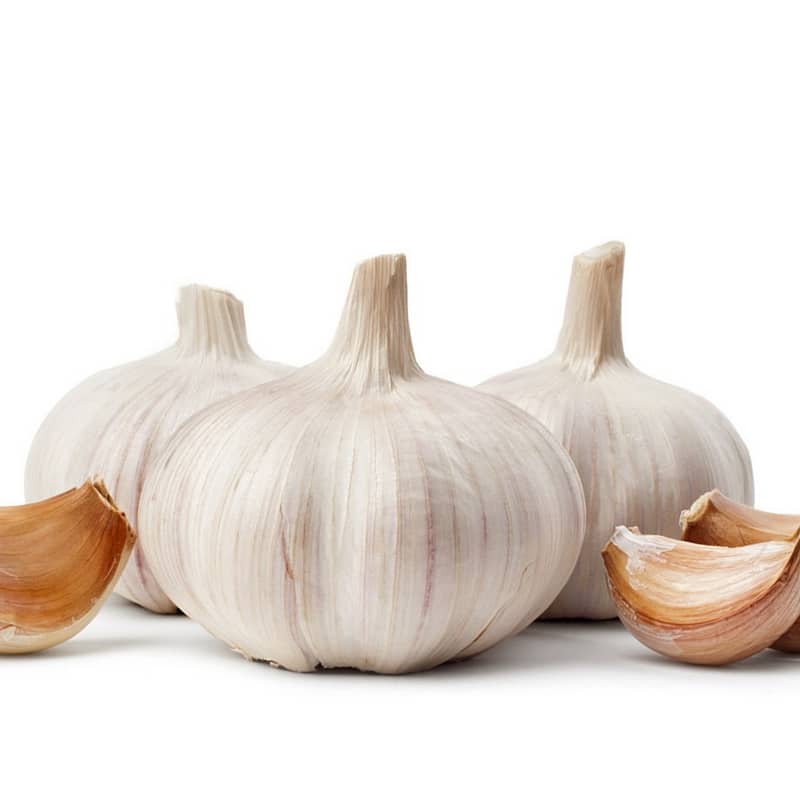 Garlic Benefits