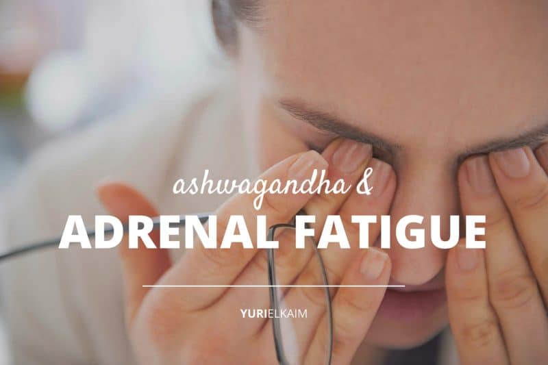 Ashwagandha and Adrenal Fatigue- Can This Little-Known Herb Save Your Adrenals