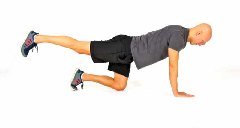 Core Strength Exercise - The Bird Dog Extended Position