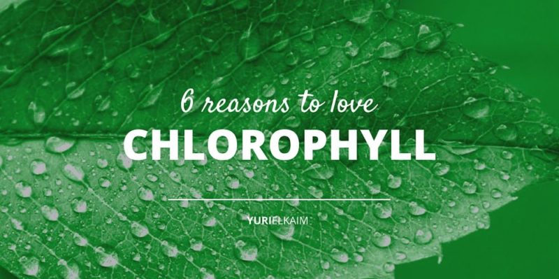 6 Health Benefits of Chlorophyll You Want