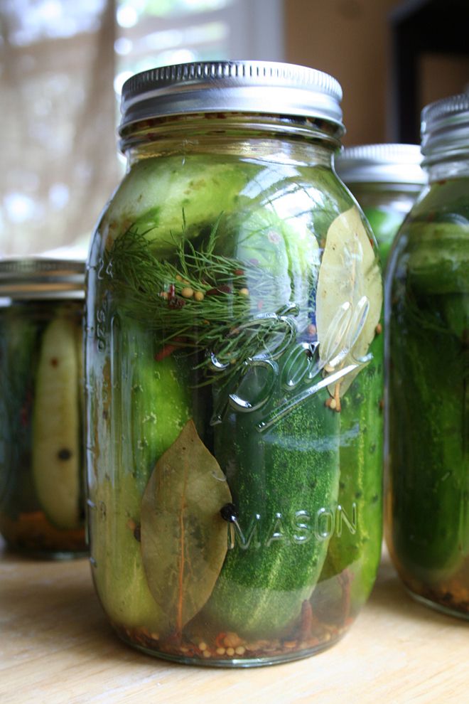 Fermented Pickles - My Humble Kitchen