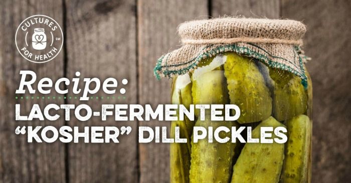 Lacto-Fermented Kosher Dill Pickles