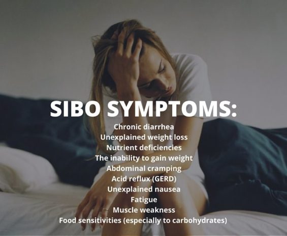 sibo-how-to-treat-this-growing-digestive-problem-yuri-elkaim