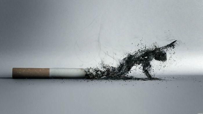  La cigarette avec une longue cendre 