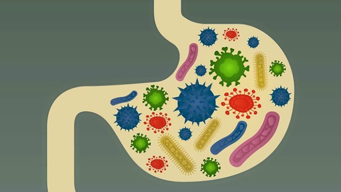 Graphic showing bacteria-filled stomach