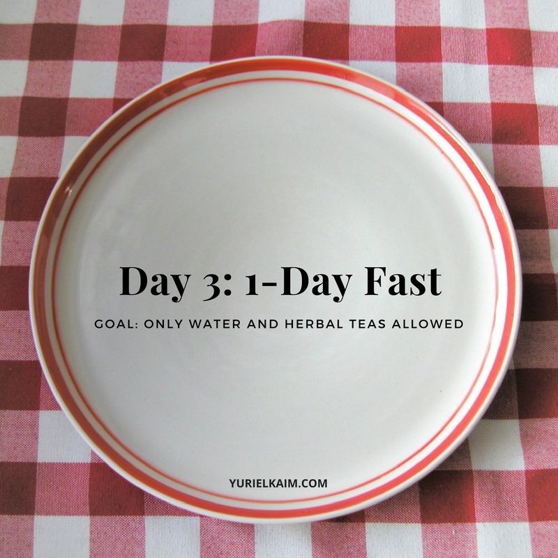 Day 3: 1-Day Fast