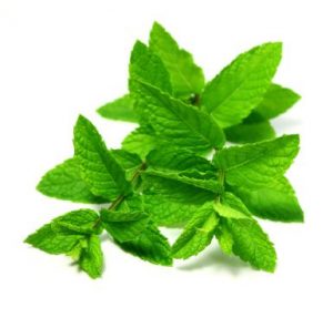 spearmint leaves