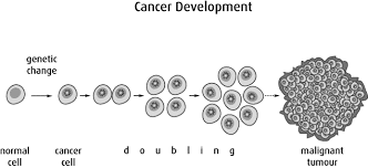 Cancer Cell Development