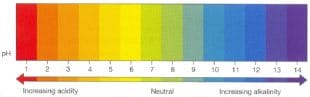 The Alkaline Acid Food Chart (Use This to Rejuvenate Your Health ...