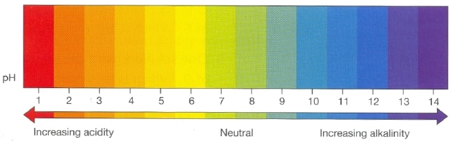 Featured image of post Recipe of Acidic And Alkaline Foods Chart