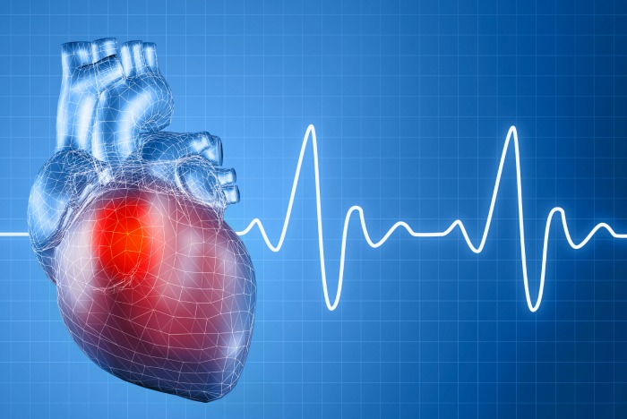 Zwaar vest en cardiovasculair systeem