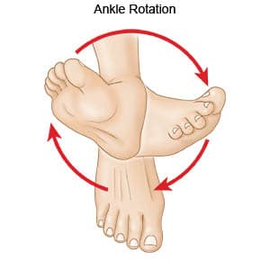 Ankle Circles