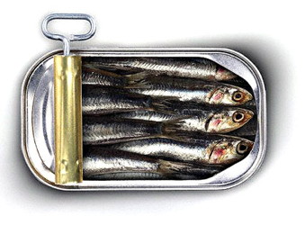How to Raise Your HDL - Eat Sardines