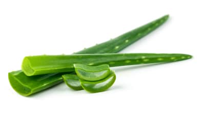 Natural Remedies for Dandruff - Aloe Vera