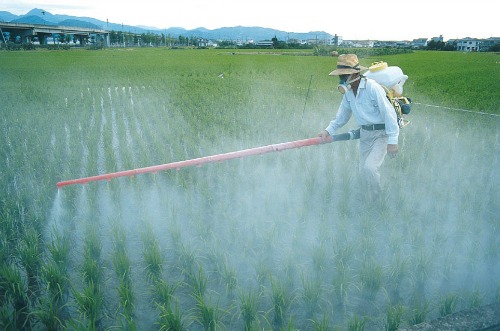 5 Things Hurting Your Gut - Pesticides