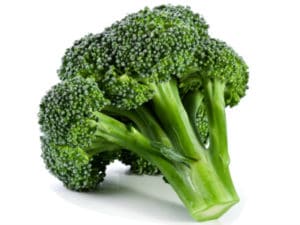 Foods Highest in Calcium - Broccoli 
