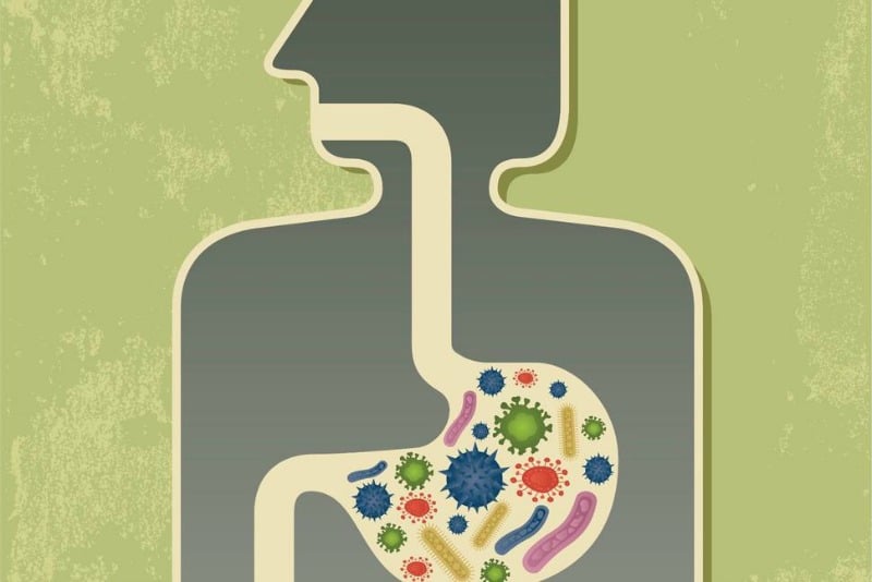 Restoring Gut Flora - Here's How to Do It And Why You Need to